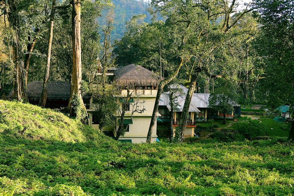 Deep Woods Resort Munnar Quarto foto